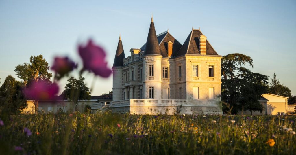 Chateau lamothe bergeron bordeaux vineyard