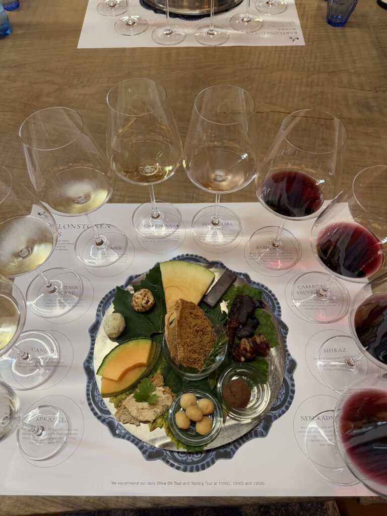 Wine and cheese pairing with multiple wine glasses and artisan cheese board at guided tasting experience