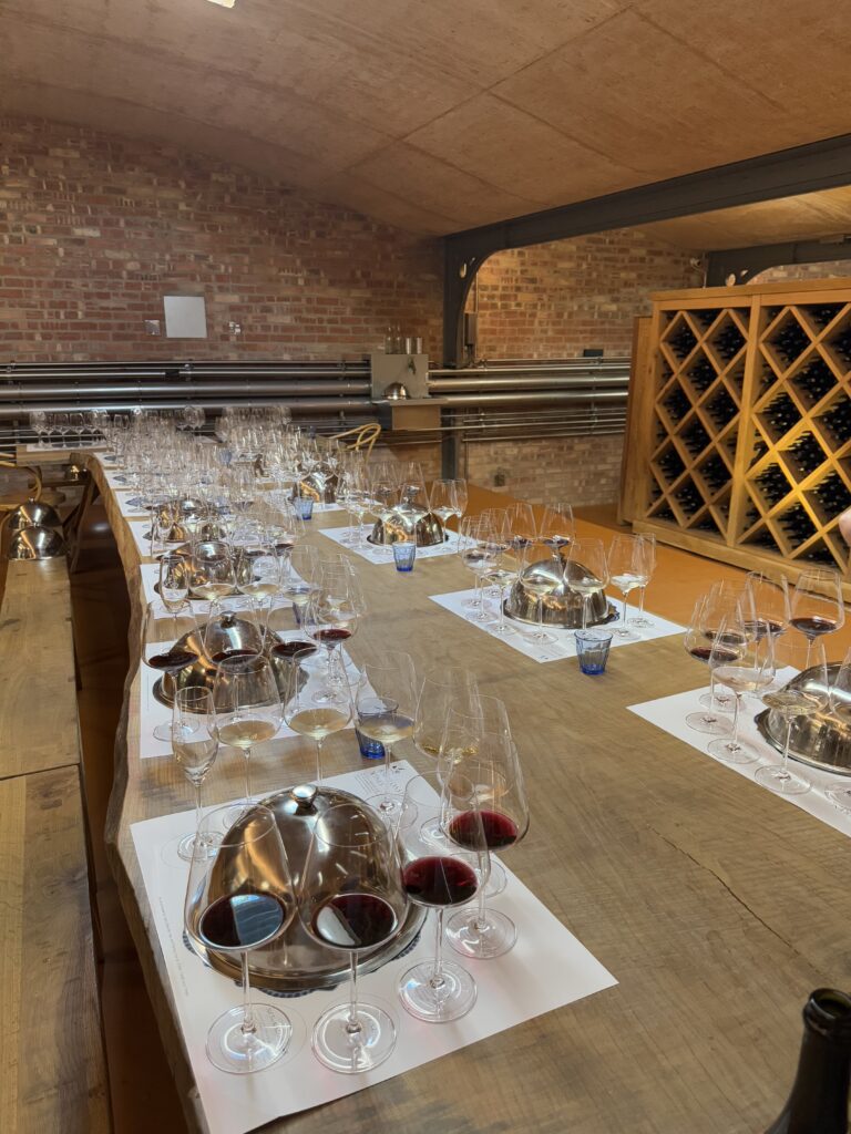 Private wine tasting room setup with multiple wine glasses and carafes arranged on tables in winery cellar.