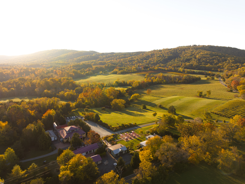 Aerial view of Virginia wine country in Monticello AVA near Charlottesville showing fall foliage, rolling vineyards, and Blue Ridge Mountains landscape