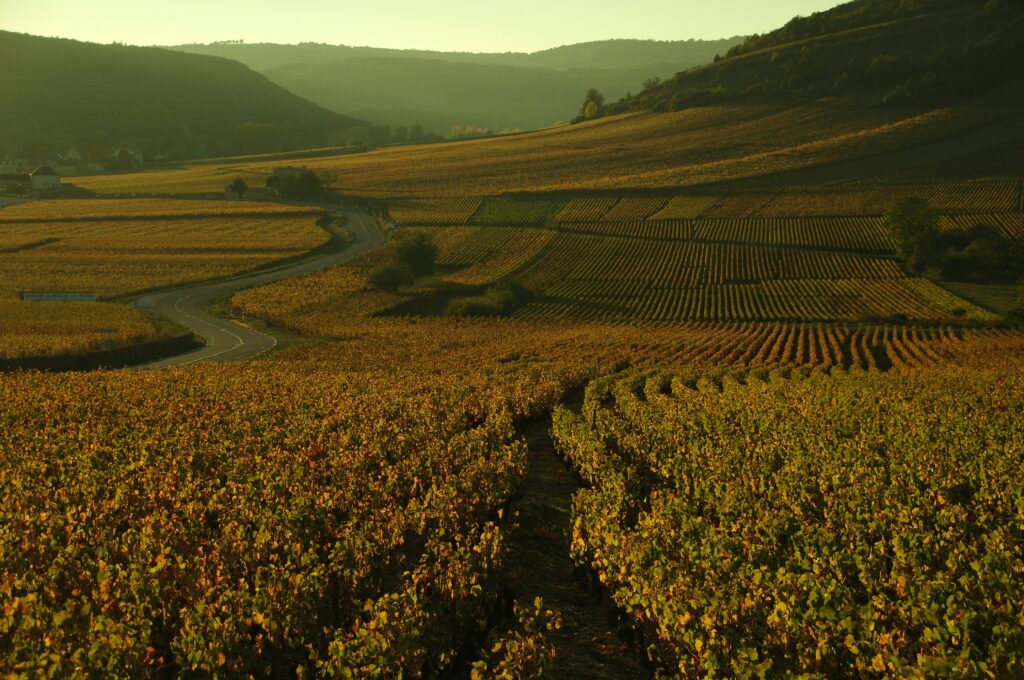 Golden autumn vineyards in Burgundy wine region at harvest time, Côte d'Or terroir for luxury wine travel