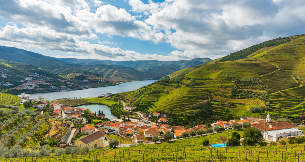 Terraced vineyards overlooking the Douro River in Portugal’s Douro Valley wine region