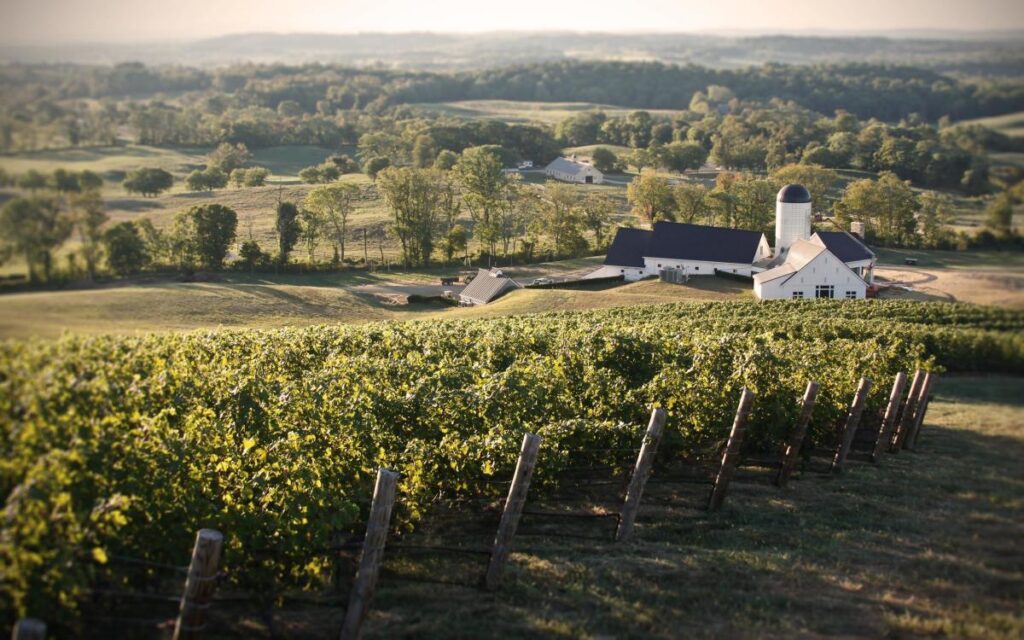 Vineyards overlooking Lost Mountain Vineyards winery buildings in Delaplane Virginia with rolling countryside views.