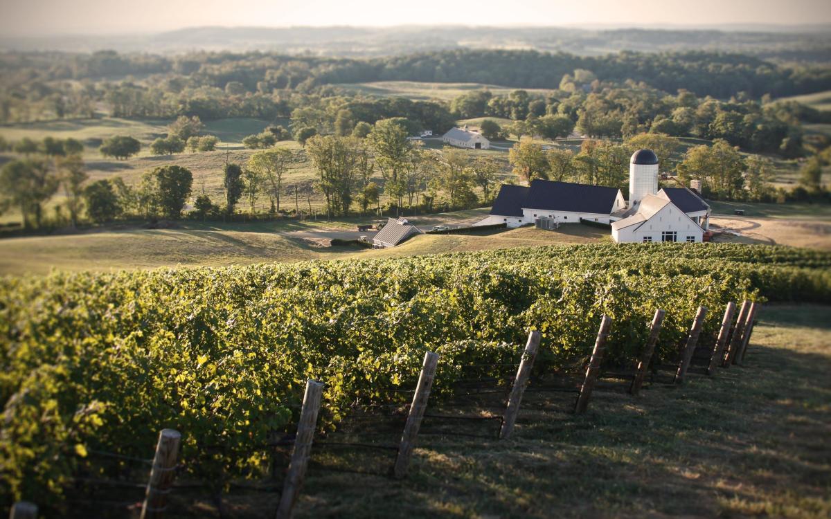 Lost mountain vineyards vineyard view delaplane virginia