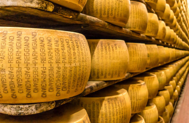 Wheels of Parmigiano Reggiano aging on wooden shelves in Italy
