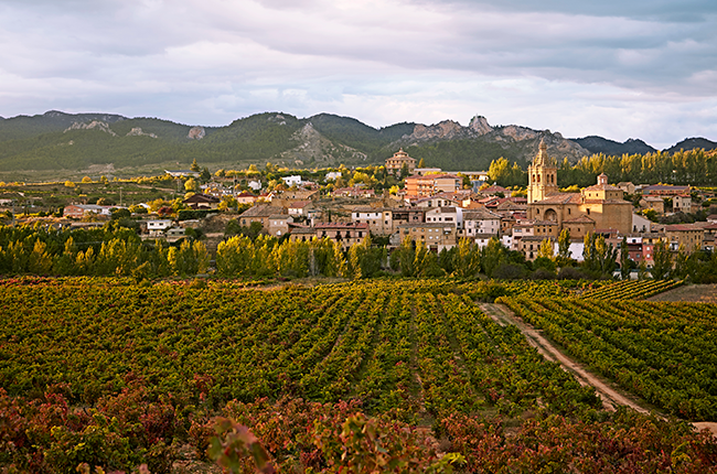 Vineyards in La Rioja Spain with hilltop village and mountains in the background